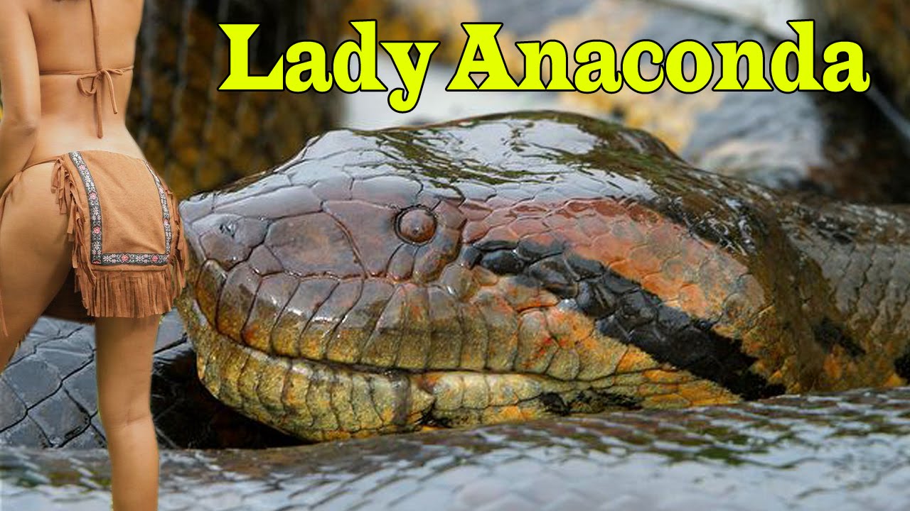 Lady Anaconda Hollywood Adventure Movie 2016 Hindi.